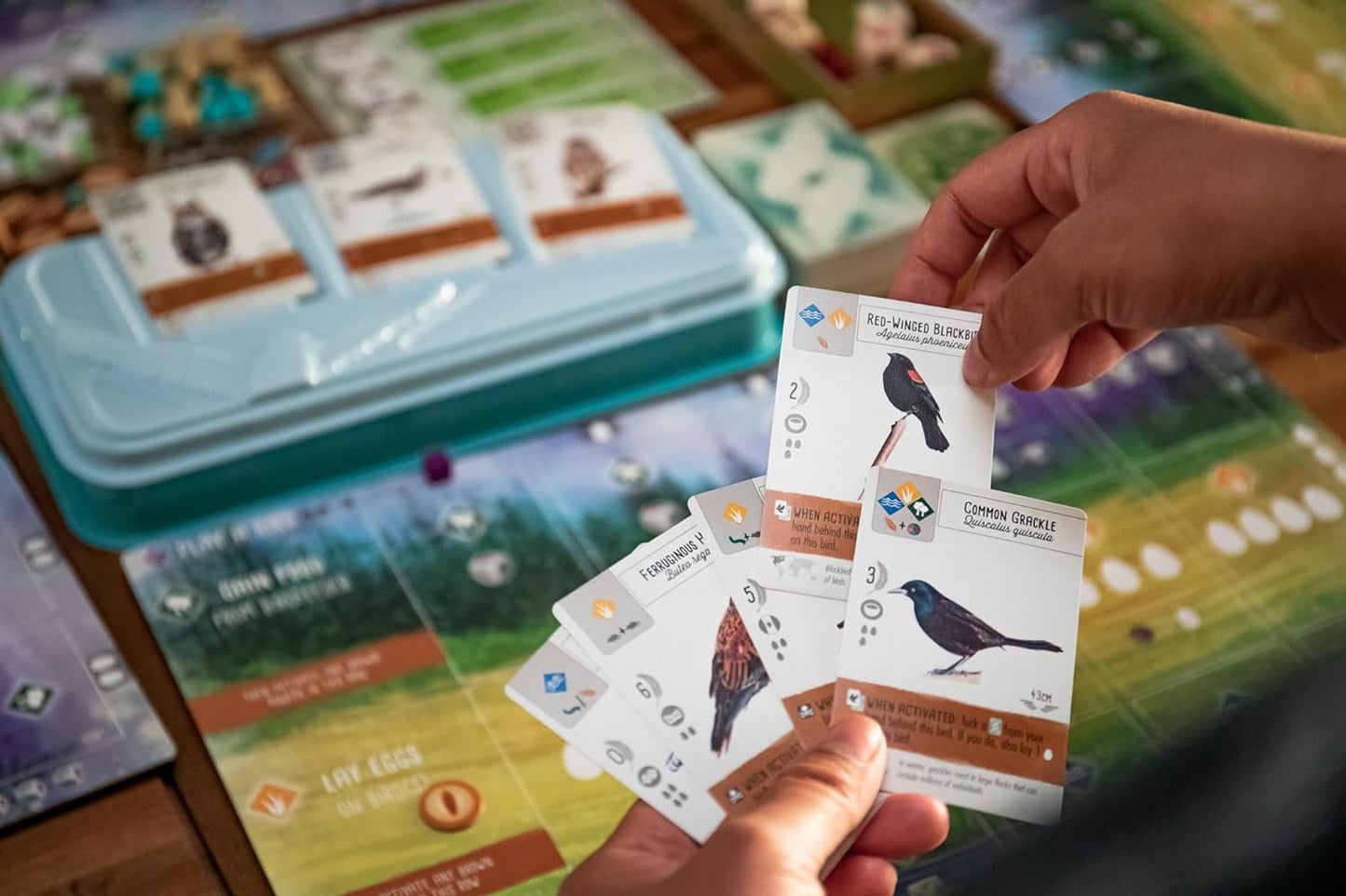 Stonemaier Board Games Wingspan The Award-Winning Strategy Board Game for Adults and Family | 1-5 Players, Ages 14+